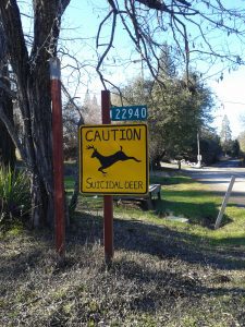 DeerSign