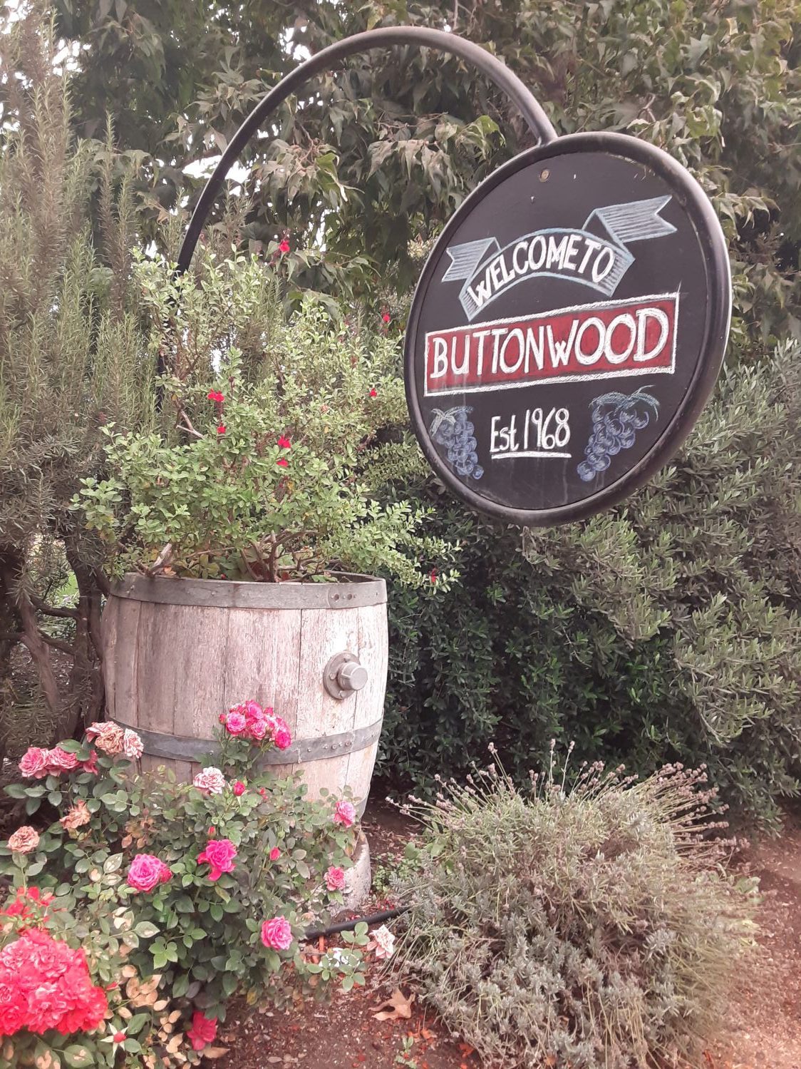 Buttonwood winnovations