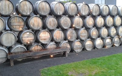 Scribe Winery – trend back to traditional values