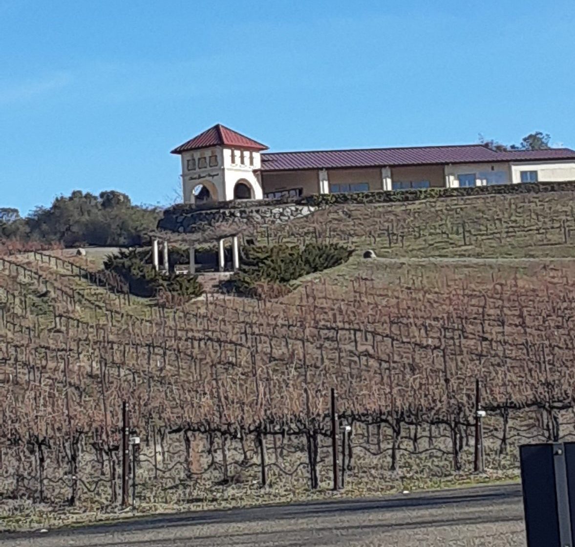 David Girard Vineyards