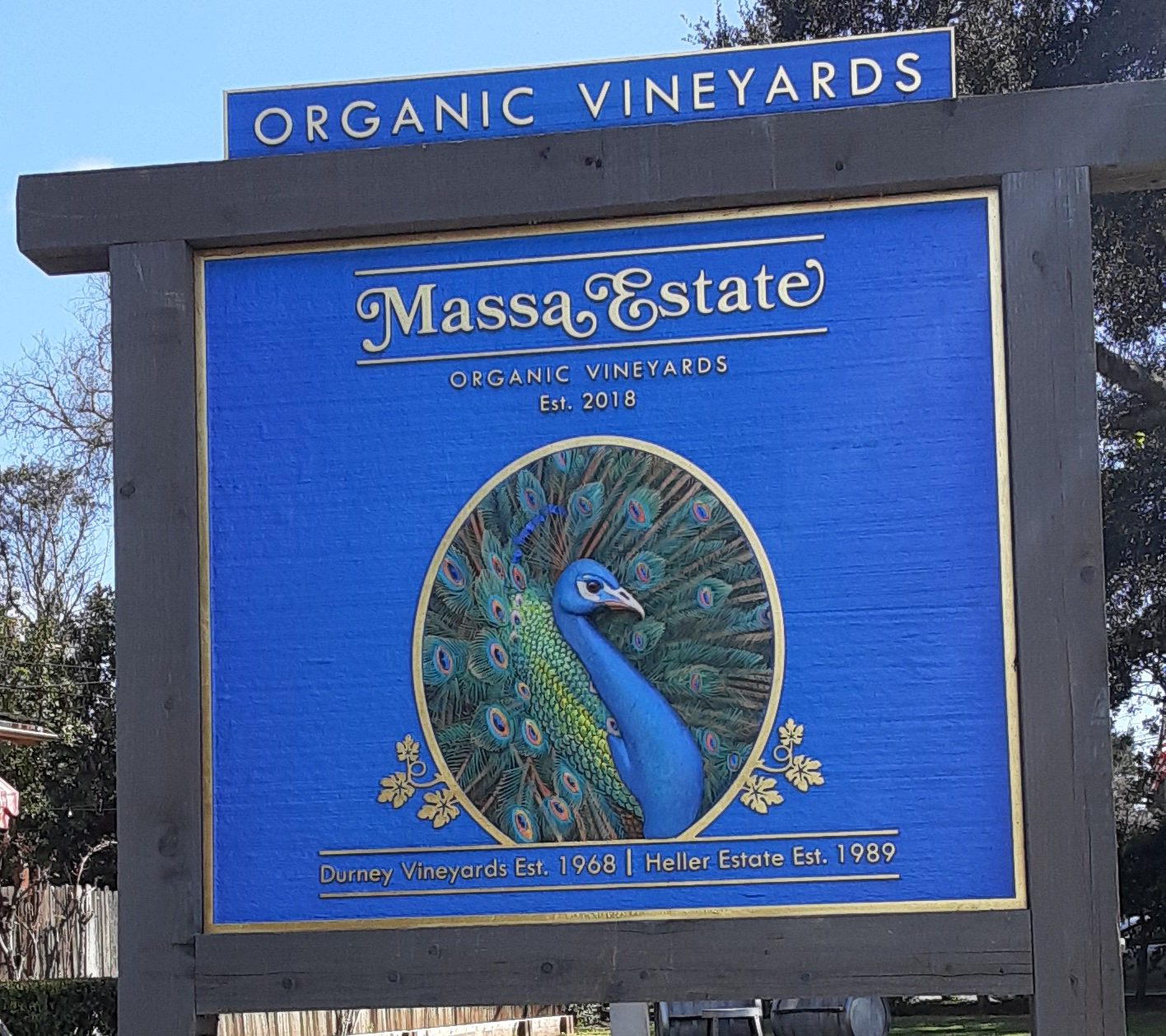 Massa Estate Organic Vineyards