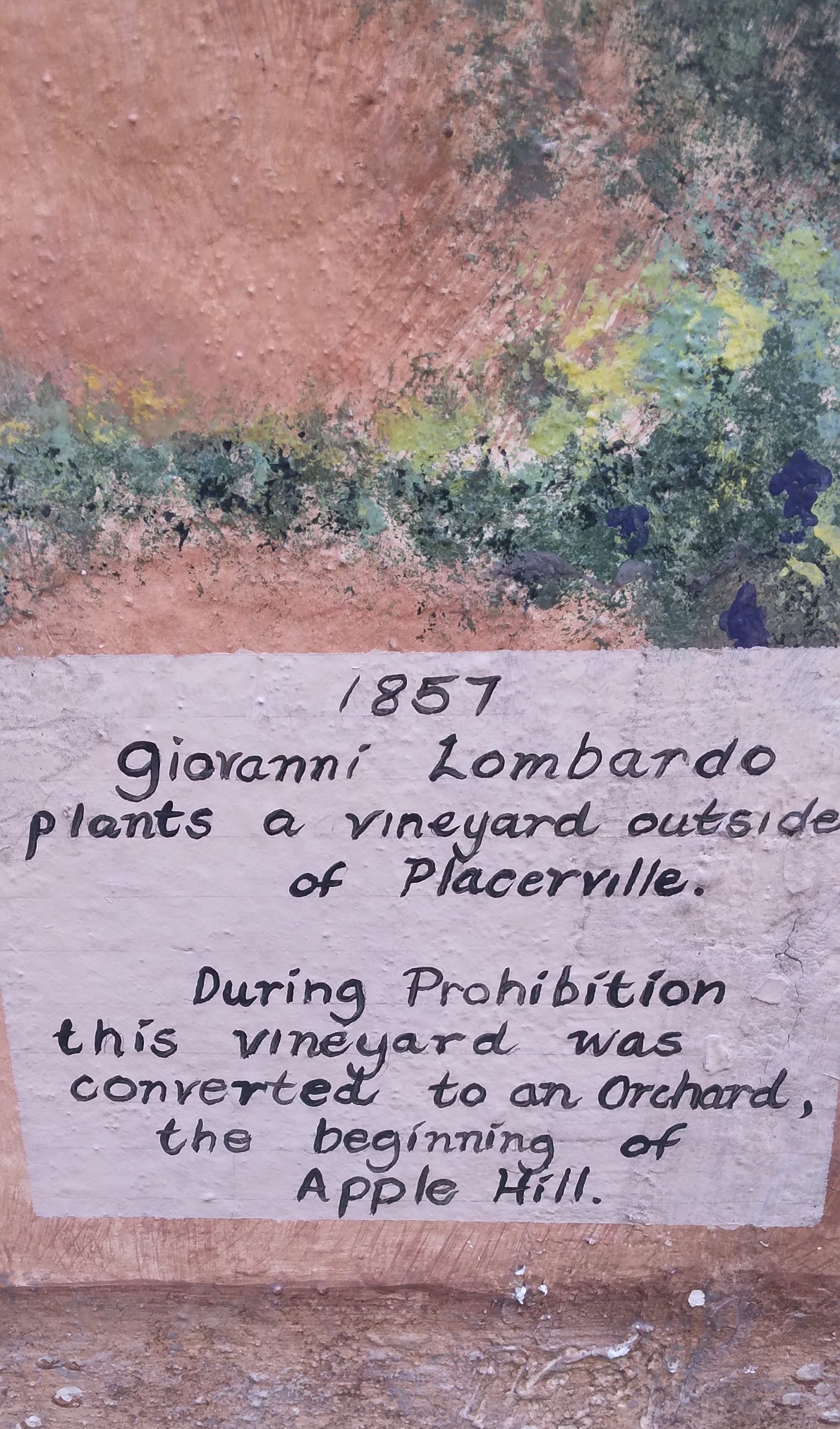 Rock painted with text that reads "1857 Gioranni Lombardo plants a vineyard outside Placerville."